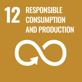Image：12.RESPONSIBLE PRODUCTION AND CONSUMPTION