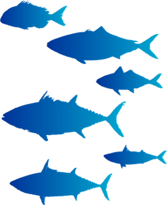 Top Page｜DAINICHI Corporation