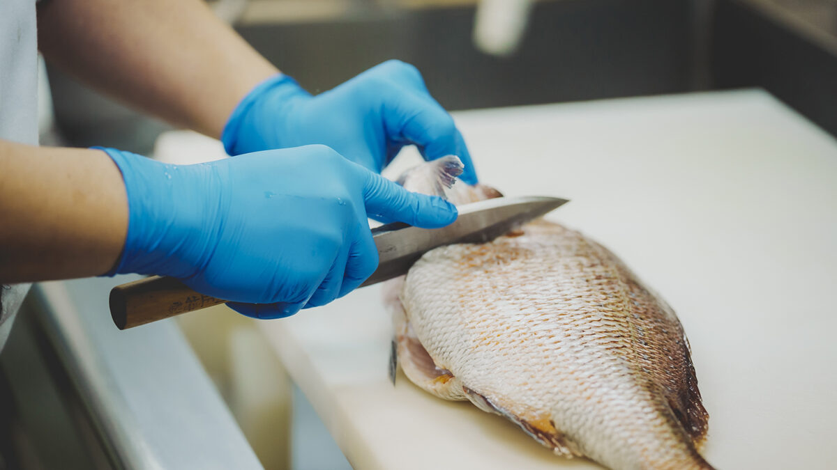 イメージ：How to identify, fillet, & preserve freshness of fish