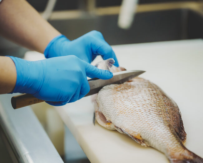 How to identify, fillet, & preserve freshness of fish